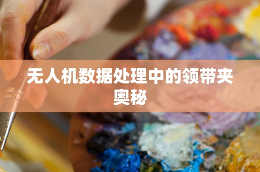 无人机数据处理中的领带夹奥秘