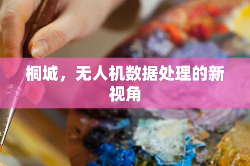 桐城，无人机数据处理的新视角