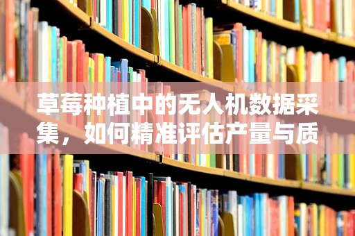 草莓种植中的无人机数据采集，如何精准评估产量与质量？