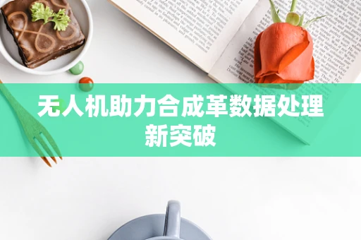 无人机助力合成革数据处理新突破