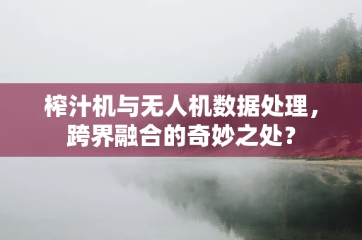 榨汁机与无人机数据处理，跨界融合的奇妙之处？