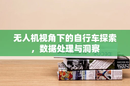 无人机视角下的自行车探索，数据处理与洞察