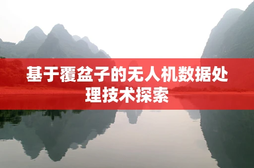 基于覆盆子的无人机数据处理技术探索