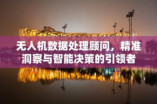无人机数据处理顾问，精准洞察与智能决策的引领者
