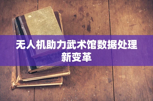 无人机助力武术馆数据处理新变革