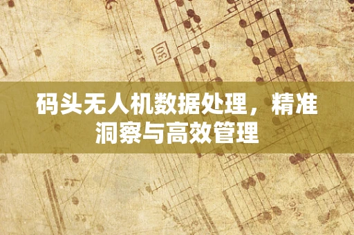 码头无人机数据处理，精准洞察与高效管理