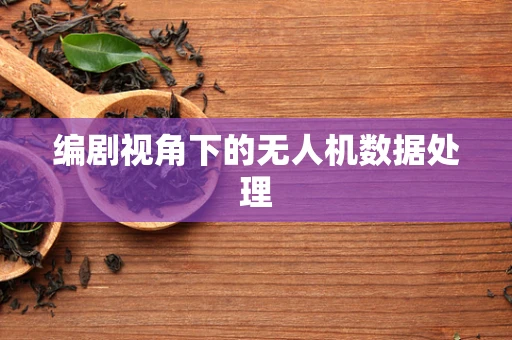 编剧视角下的无人机数据处理