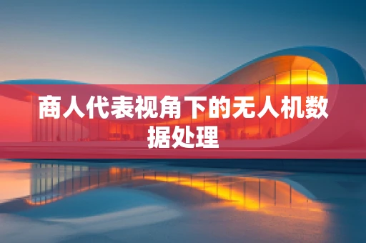 商人代表视角下的无人机数据处理