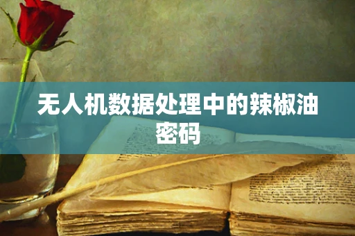 无人机数据处理中的辣椒油密码