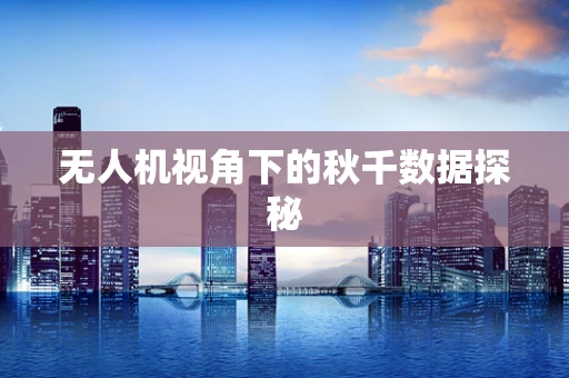 无人机视角下的秋千数据探秘