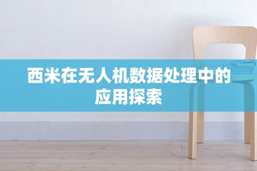 西米在无人机数据处理中的应用探索