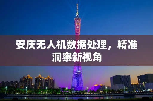 安庆无人机数据处理，精准洞察新视角