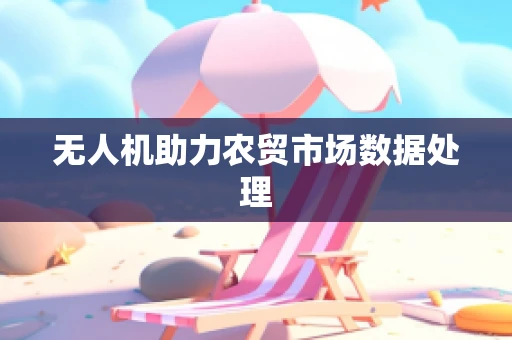 无人机助力农贸市场数据处理