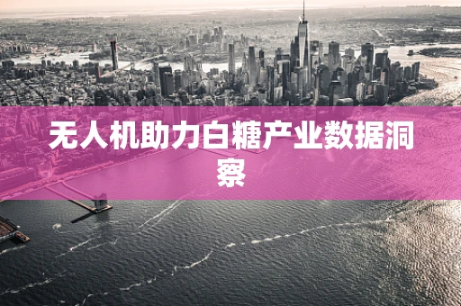 无人机助力白糖产业数据洞察