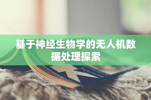基于神经生物学的无人机数据处理探索
