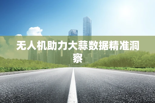 无人机助力大蒜数据精准洞察