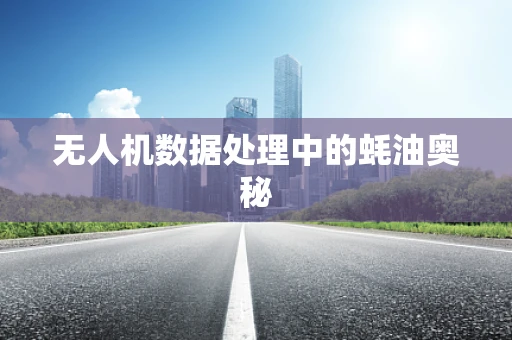 无人机数据处理中的蚝油奥秘