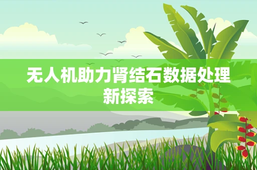 无人机助力肾结石数据处理新探索