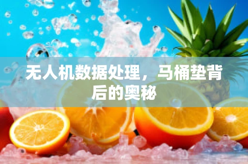 无人机数据处理，马桶垫背后的奥秘