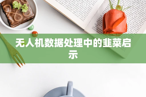 无人机数据处理中的韭菜启示