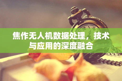 焦作无人机数据处理，技术与应用的深度融合