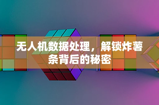 无人机数据处理，解锁炸薯条背后的秘密