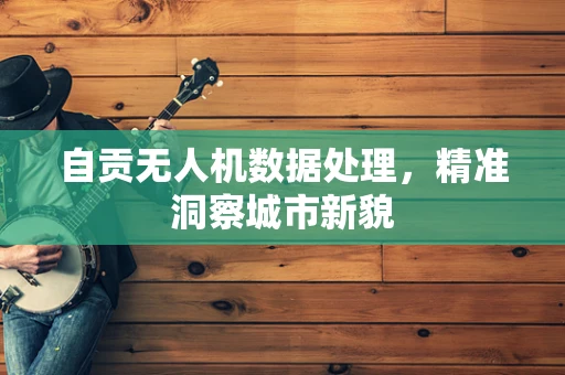自贡无人机数据处理，精准洞察城市新貌
