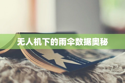 无人机下的雨伞数据奥秘