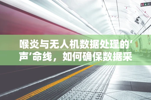 喉炎与无人机数据处理的‘声’命线，如何确保数据采集的清晰与安全？