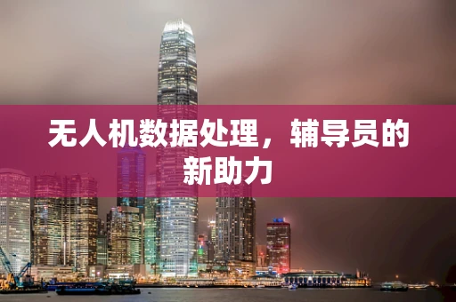 无人机数据处理，辅导员的新助力