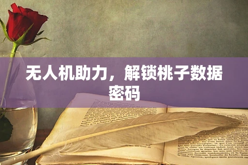 无人机助力，解锁桃子数据密码