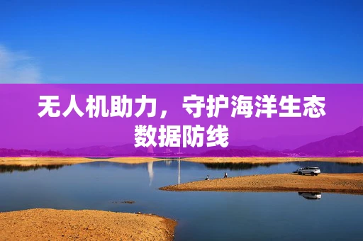 无人机助力，守护海洋生态数据防线