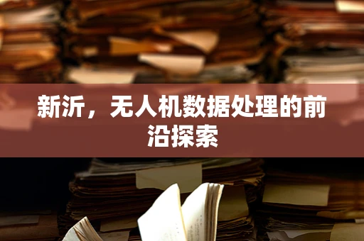 新沂，无人机数据处理的前沿探索