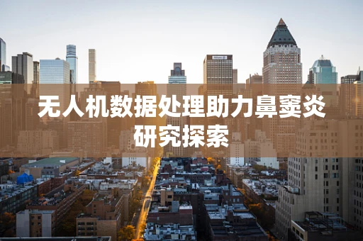 无人机数据处理助力鼻窦炎研究探索