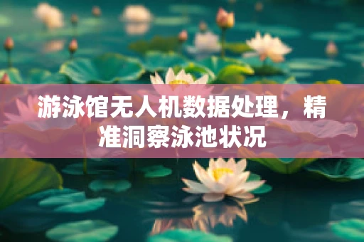 游泳馆无人机数据处理，精准洞察泳池状况