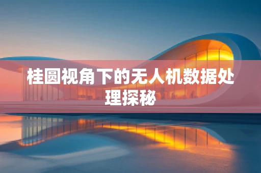 桂圆视角下的无人机数据处理探秘