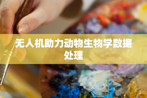 无人机助力动物生物学数据处理