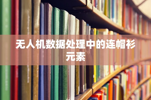 无人机数据处理中的连帽衫元素