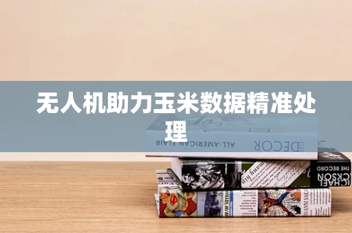 无人机助力玉米数据精准处理