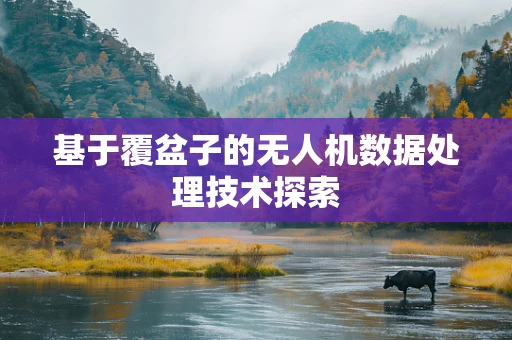 基于覆盆子的无人机数据处理技术探索
