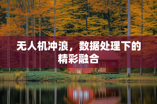 无人机冲浪，数据处理下的精彩融合