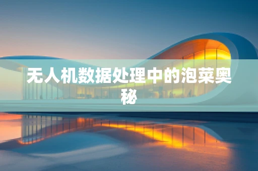 无人机数据处理中的泡菜奥秘