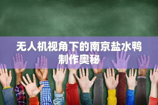 无人机视角下的南京盐水鸭制作奥秘