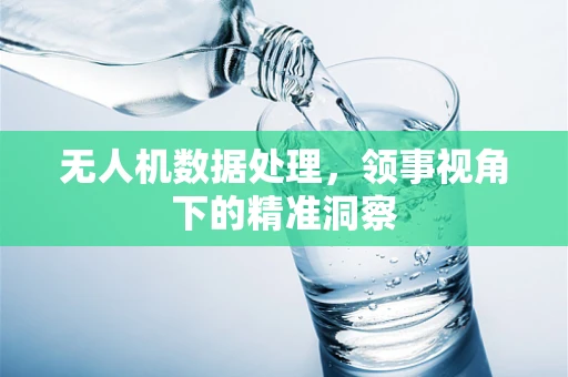 无人机数据处理，领事视角下的精准洞察