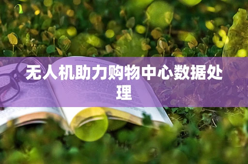 无人机助力购物中心数据处理