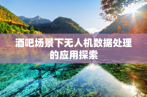 酒吧场景下无人机数据处理的应用探索