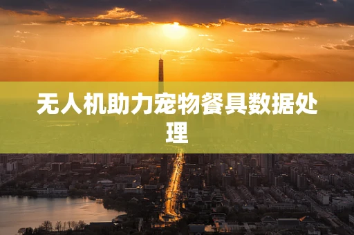 无人机助力宠物餐具数据处理