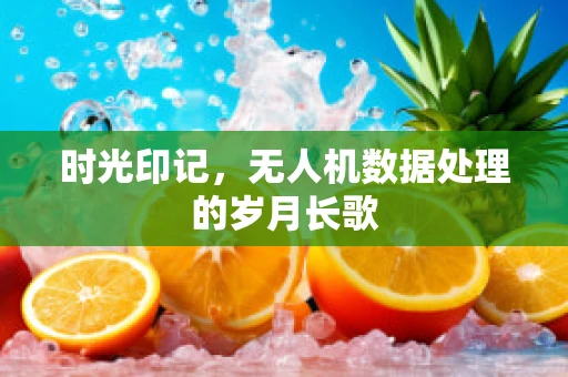 时光印记，无人机数据处理的岁月长歌