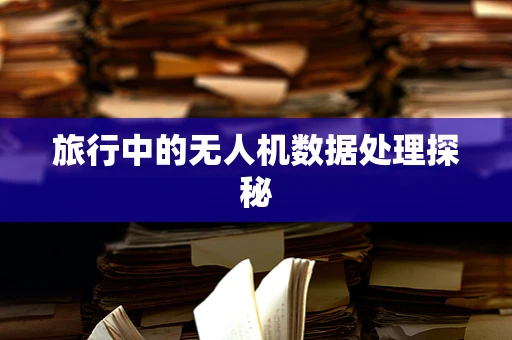 旅行中的无人机数据处理探秘