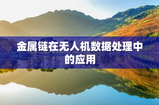 金属链在无人机数据处理中的应用